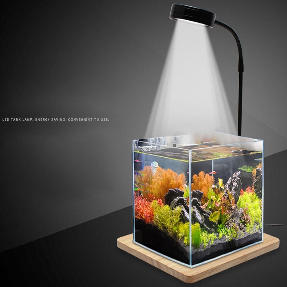 ไฟ LED สำหรับตู้ปลา 10W พร้อมแ - Aquarium Plant On Wood บทวิจารณ์และราคา