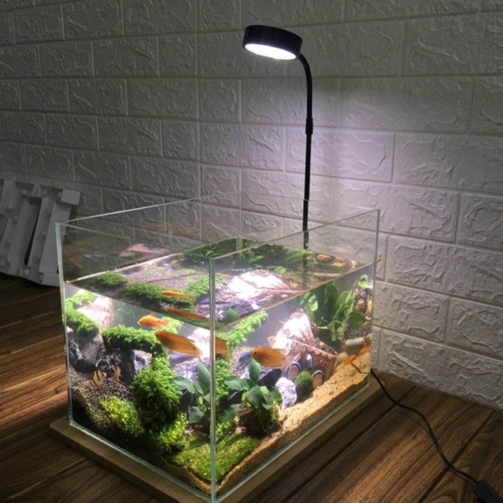 โคมไฟ LED สำหรับตู้ปลา 10W พร้ - Aquarium Plant On Wood บทวิจารณ์และราคา