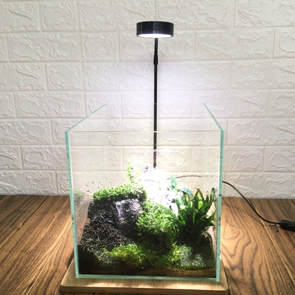โคมไฟ LED สำหรับตู้ปลา 10W พร้ - Aquarium Plant On Wood บทวิจารณ์และราคา