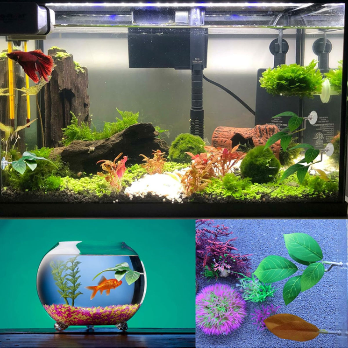 เปลปลาเบตต้า 1 ชิ้น ของตกแต่งต - Planted Aquarium Betta บทวิจารณ์และราคา