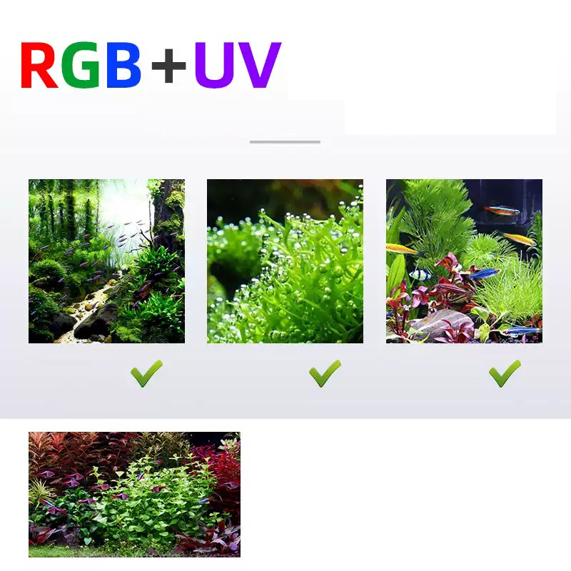 ไฟ LED 60 ซม. 80 ซม. 90 ซม. RG - Planted Aquarium For Sale บทวิจารณ์และราคา