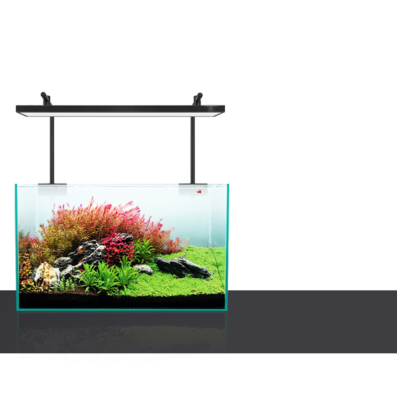 ไฟ LED 60 ซม. 80 ซม. 90 ซม. RG - Planted Aquarium For Sale บทวิจารณ์และราคา