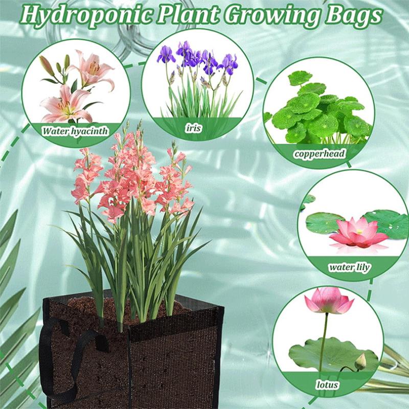 ตะกร้าปลูกต้นไม้ในบ่อตาข่ายสีด - Aquarium Planted Plants บทวิจารณ์และราคา