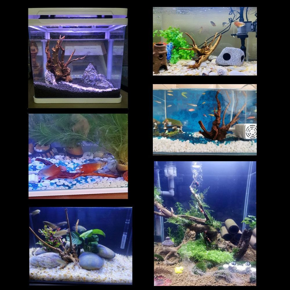 ไม้ลอยน้ำขนาดใหญ่ 20-25 ซม. สำ - Aquarium Planted Wood บทวิจารณ์และราคา