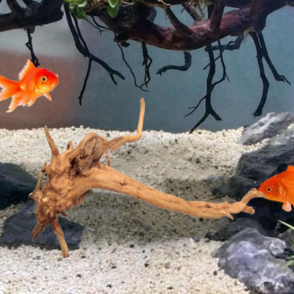 ไม้ลอยน้ำขนาดใหญ่ 20-25 ซม. สำ - Aquarium Planted Wood บทวิจารณ์และราคา