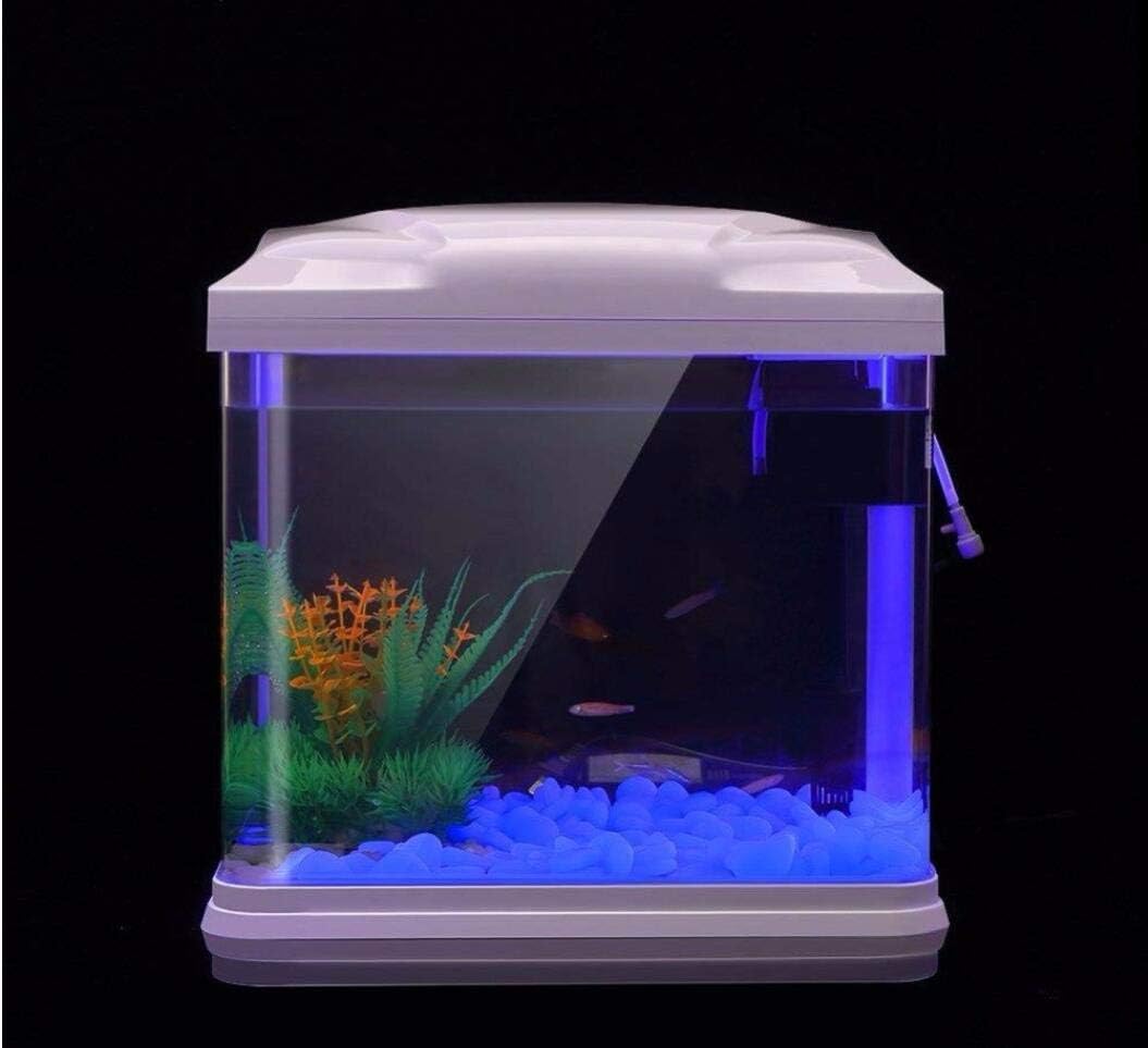 ถังปลา Rocks Glow Blue Pebbles - Aquarium Planted Plants บทวิจารณ์และราคา