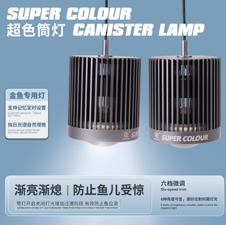 ไฟ LED สีสุดยอด 3 มิติ ขายดี ต - Planted Aquarium For Sale บทวิจารณ์และราคา