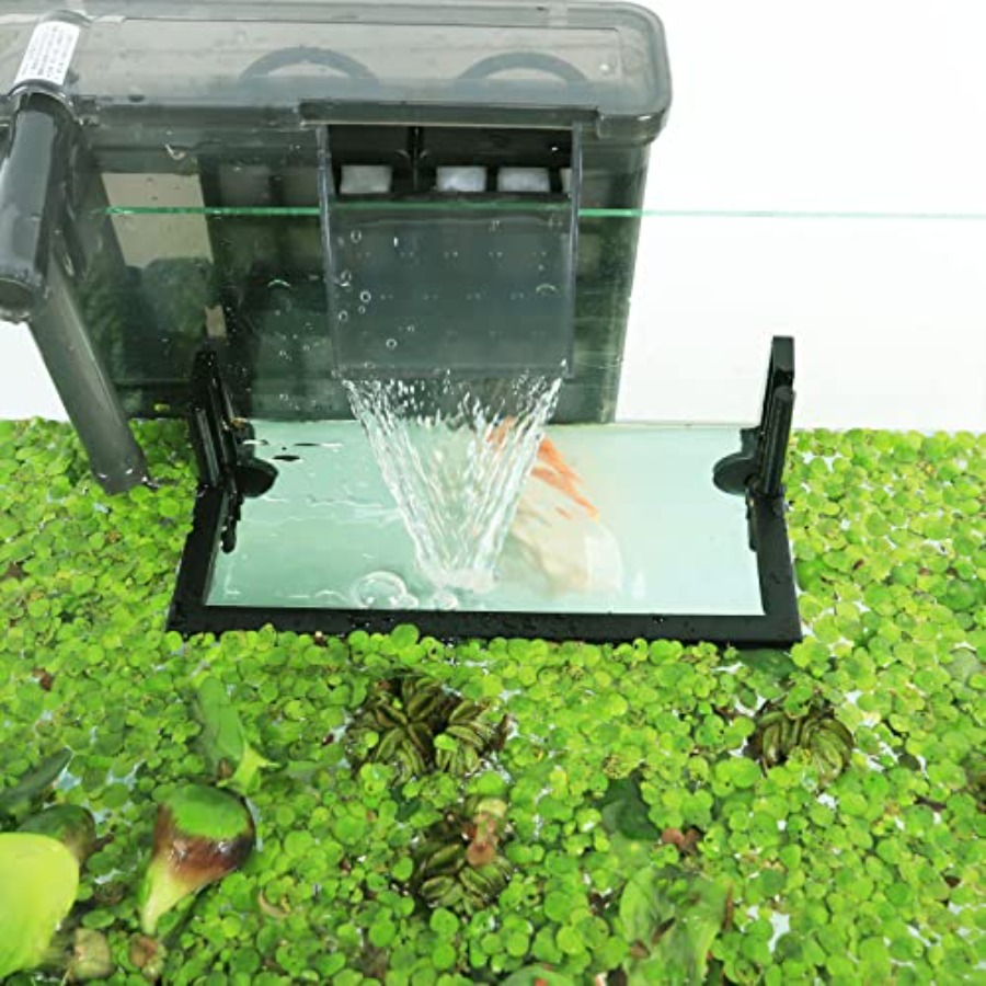ที่กั้นพืชน้ำลอยในตู้ปลา ป้องก - Planted Aquarium Heater บทวิจารณ์และราคา
