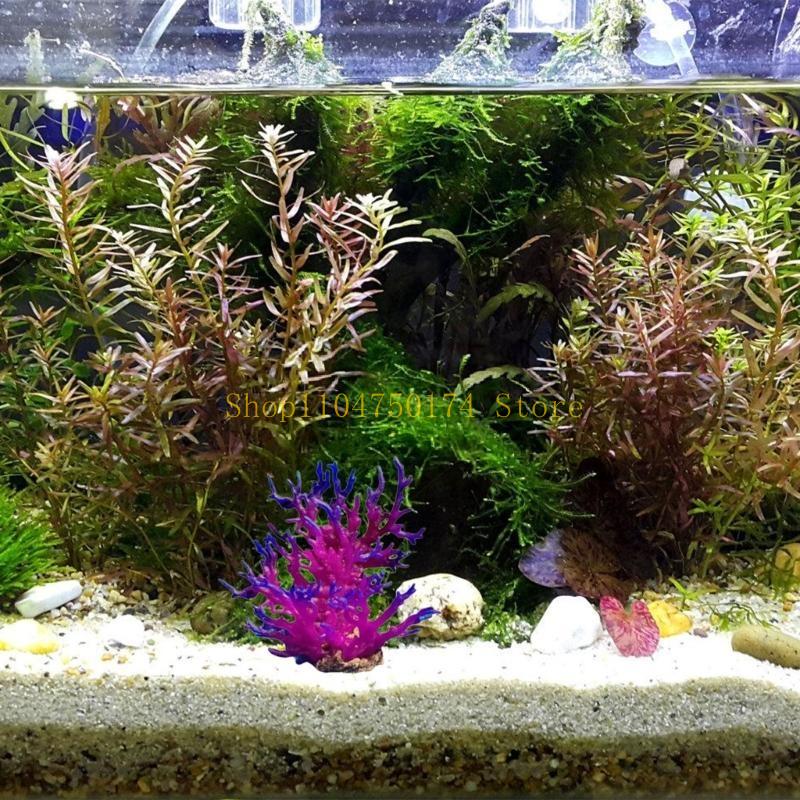 ต้นไม้ประดิษฐ์ตกแต่งต้นไม้ที่ม - Planted Aquarium For Sale บทวิจารณ์และราคา