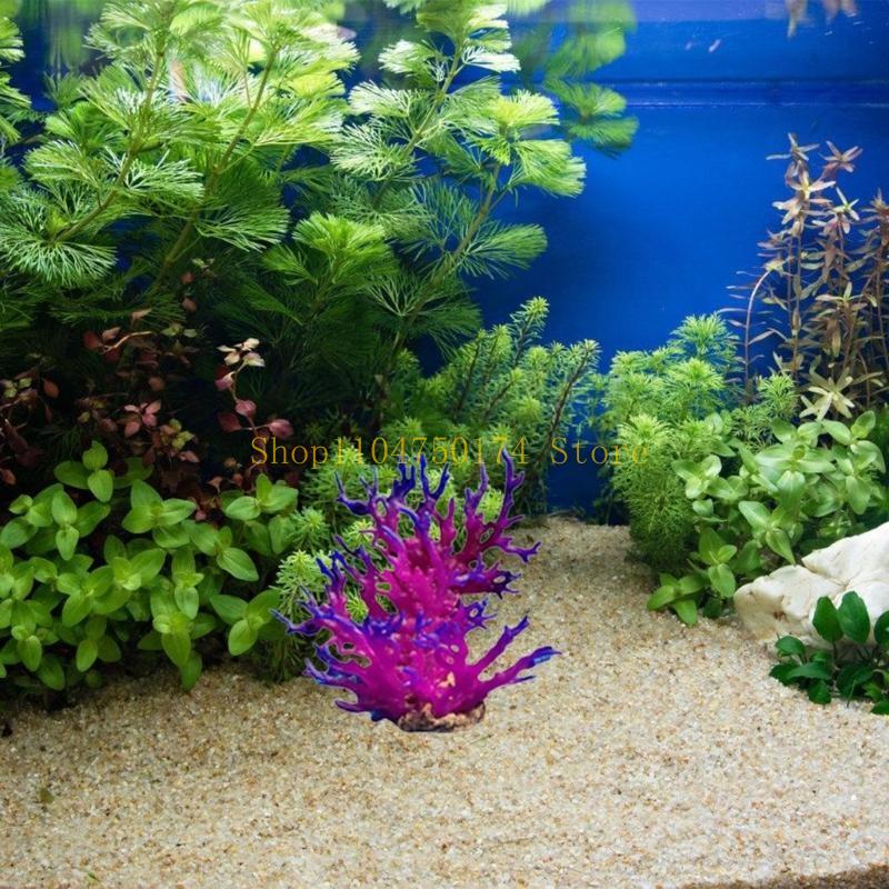 ต้นไม้ประดิษฐ์ตกแต่งต้นไม้ที่ม - Planted Aquarium For Sale บทวิจารณ์และราคา