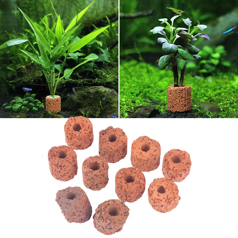 วงแหวนเซรามิกสำหรับยึดต้นไม้ใน - Aquarium Plant Utensils บทวิจารณ์และราคา