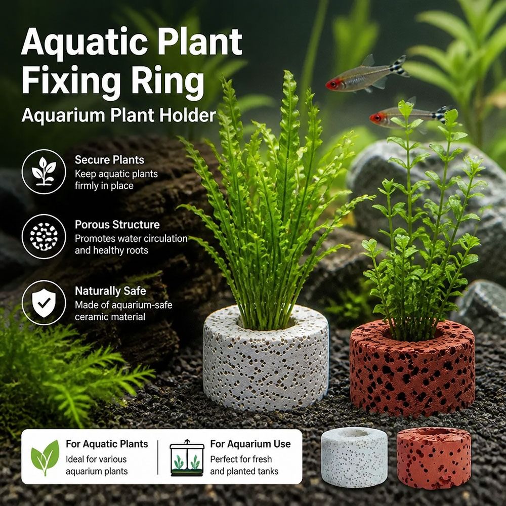 10 ชิ้น วงแหวนถ่วงน้ำหนักสำหรั - Planted Aquarium Pictures บทวิจารณ์และราคา