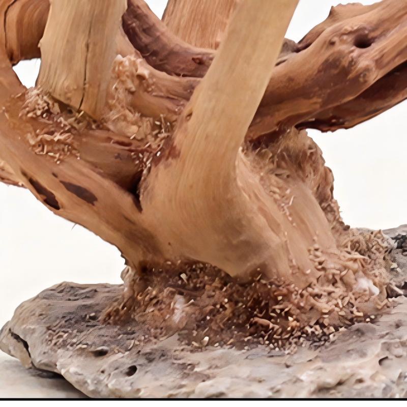 1PC Aquarium ภูมิทัศน์เครื่องป - Aquarium Planted Wood บทวิจารณ์และราคา