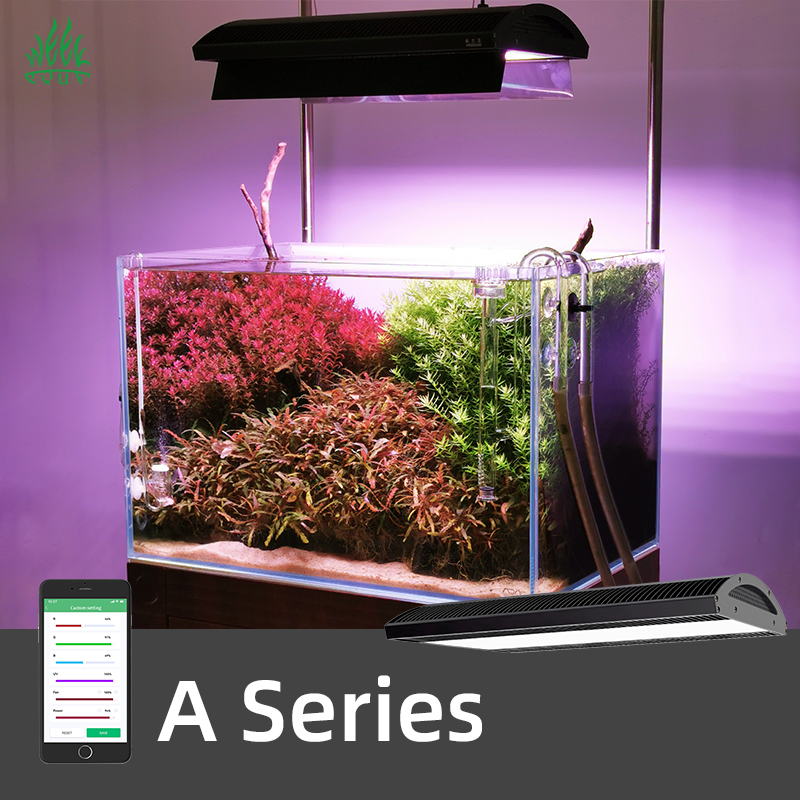 ไฟ LED สำหรับตู้ปลา ZXY Aquari - Planted Aquarium Ada บทวิจารณ์และราคา