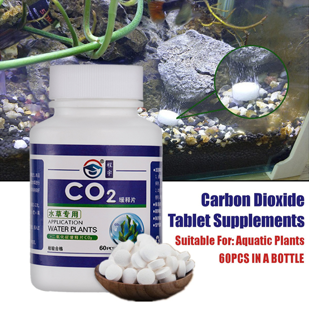 CO2 แท็บเล็ตคาร์บอนไดออกไซด์Di - Aquarium Plant Vitamins บทวิจารณ์และราคา