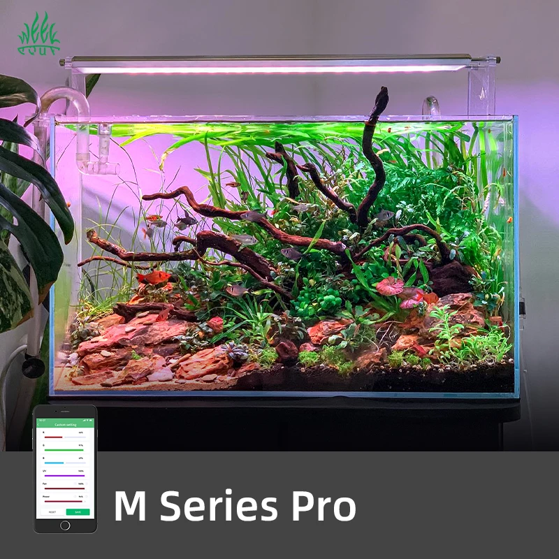 ไฟ LED สำหรับตู้ปลา ZXY Hot Sa - Planted Aquarium For Sale บทวิจารณ์และราคา