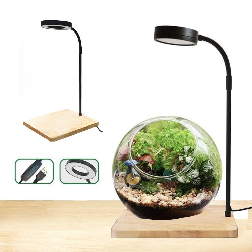 โคมไฟ LED สำหรับตู้ปลา 10W พร้ - Aquarium Plant On Wood บทวิจารณ์และราคา