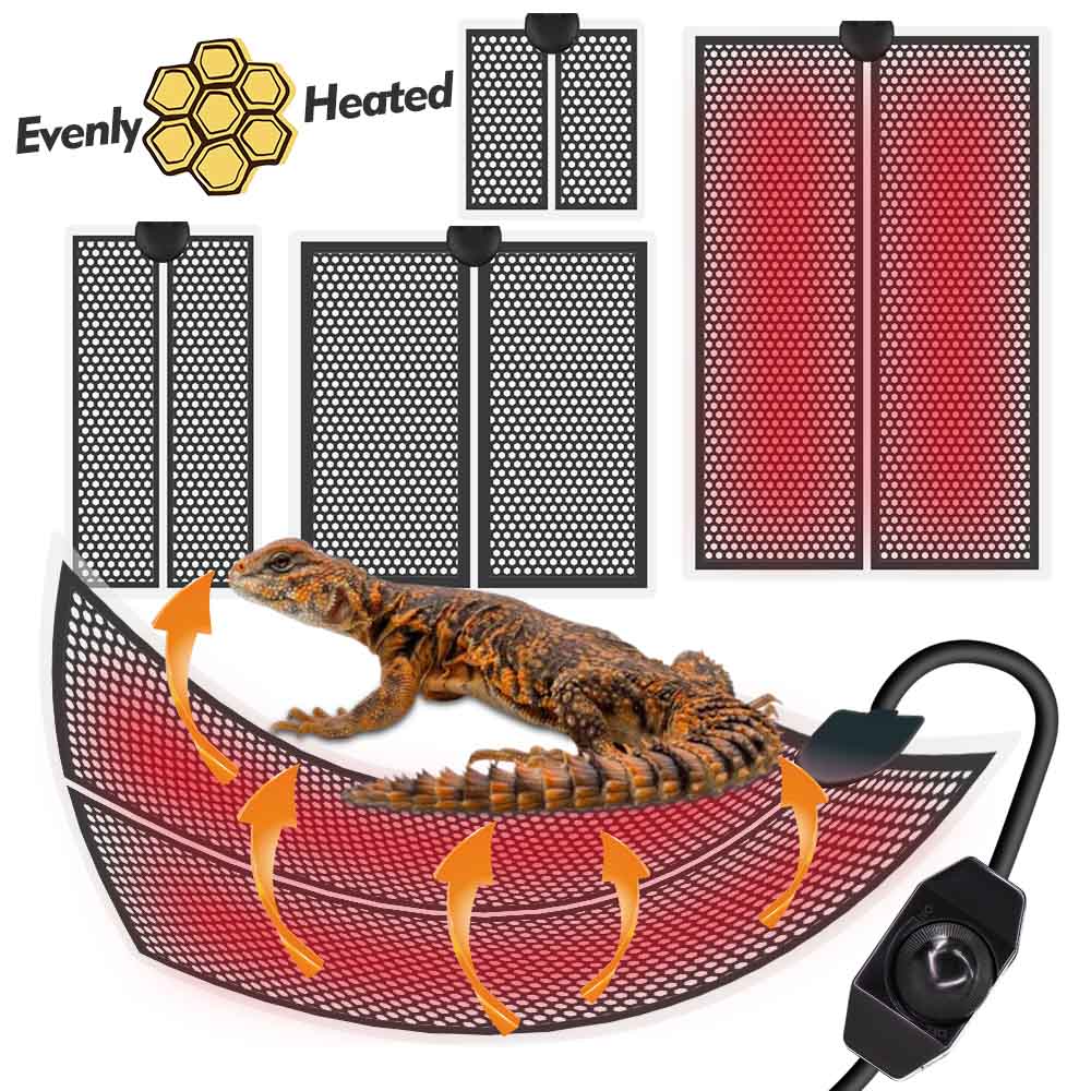 แผ่นความร้อนสัตว์เลื้อยคลาน5-2 - Planted Aquarium Heater บทวิจารณ์และราคา