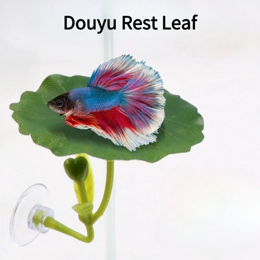 เปลนอนปลาเบตต้าใบไม้สีเขียว 1  - Planted Aquarium Betta บทวิจารณ์และราคา
