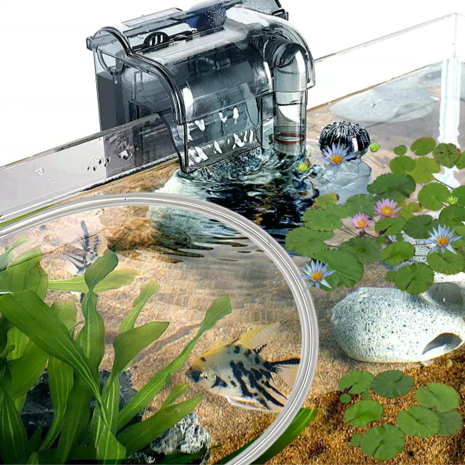 ชุดอุปกรณ์กั้นพืชน้ำลอยน้ำแบบป - Planted Aquarium Betta บทวิจารณ์และราคา