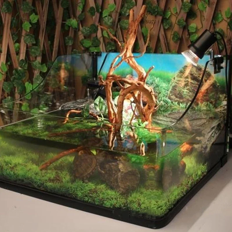 ธรรมชาติต้นไม้ Trunk Driftwood - Planted Aquarium Making บทวิจารณ์และราคา