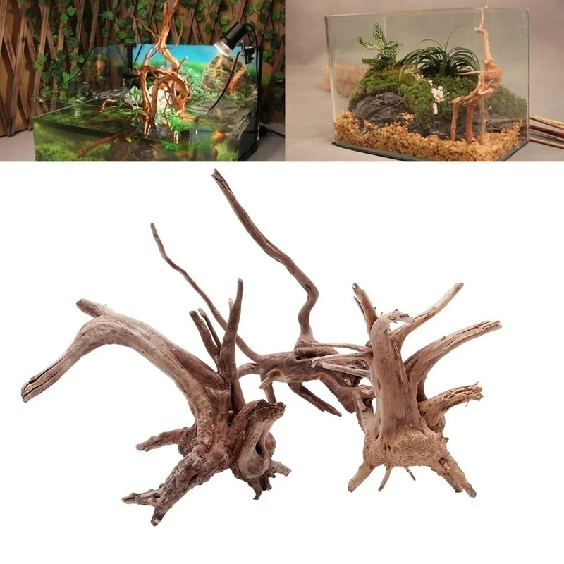 ธรรมชาติต้นไม้ Trunk Driftwood - Planted Aquarium Making บทวิจารณ์และราคา