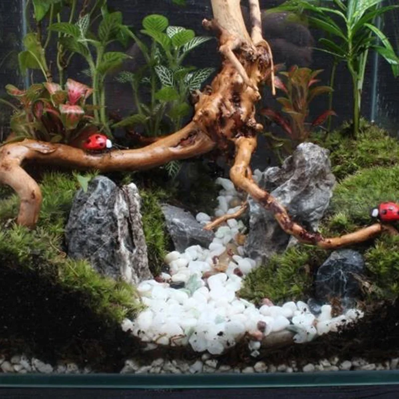 ธรรมชาติต้นไม้ Trunk Driftwood - Planted Aquarium Making บทวิจารณ์และราคา