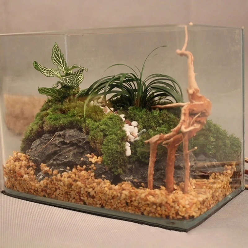 ธรรมชาติต้นไม้ Trunk Driftwood - Planted Aquarium Making บทวิจารณ์และราคา