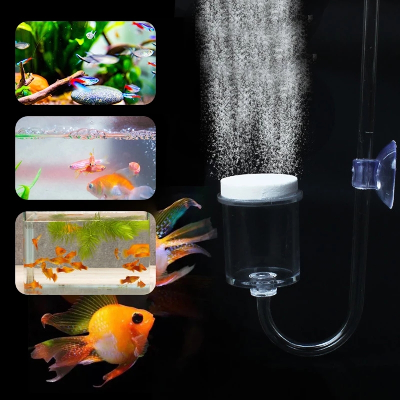 DIY ชุดกระจาย CO2 4ชิ้นสำหรับต - Aquarium Plant Gel บทวิจารณ์และราคา