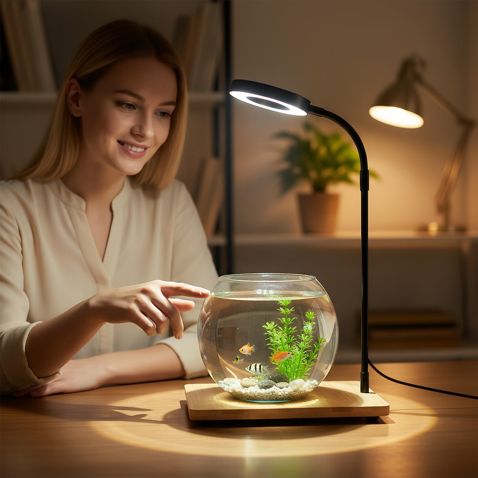 ไฟปลูกต้นไม้สำหรับปลูกในร่มพร้ - Aquarium Plant On Wood บทวิจารณ์และราคา